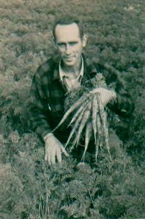 Harry Prout in his carrot fields