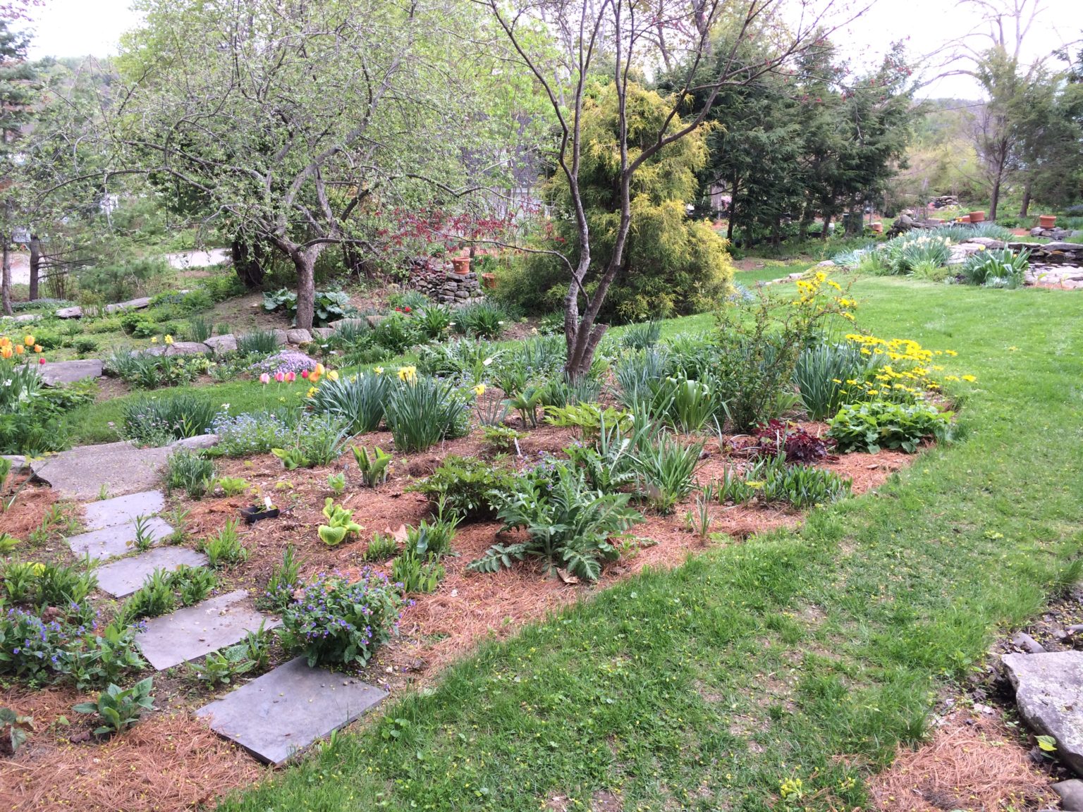 Summer Garden Tour Bowdoinham Public Library
