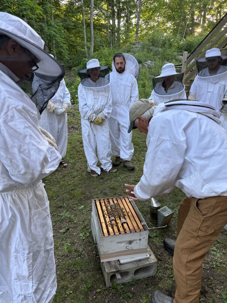 Intro to Beekeeping class. Frank Drummond demonstrating the hive.